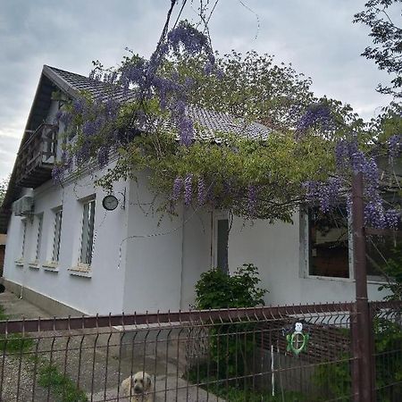 Casa Mocanu Giurgiu Exterior foto