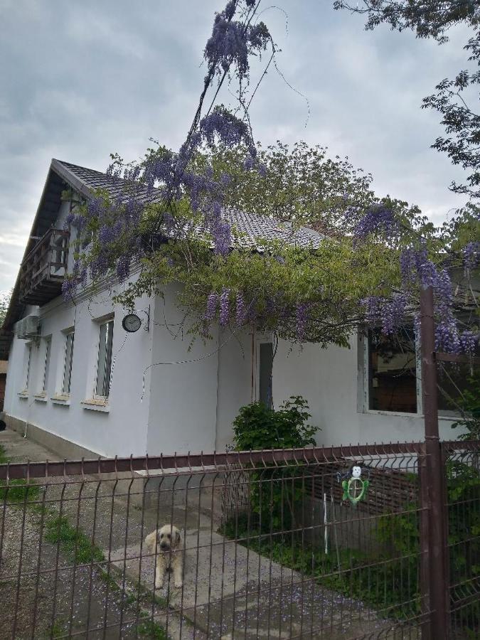Casa Mocanu Giurgiu Exterior foto
