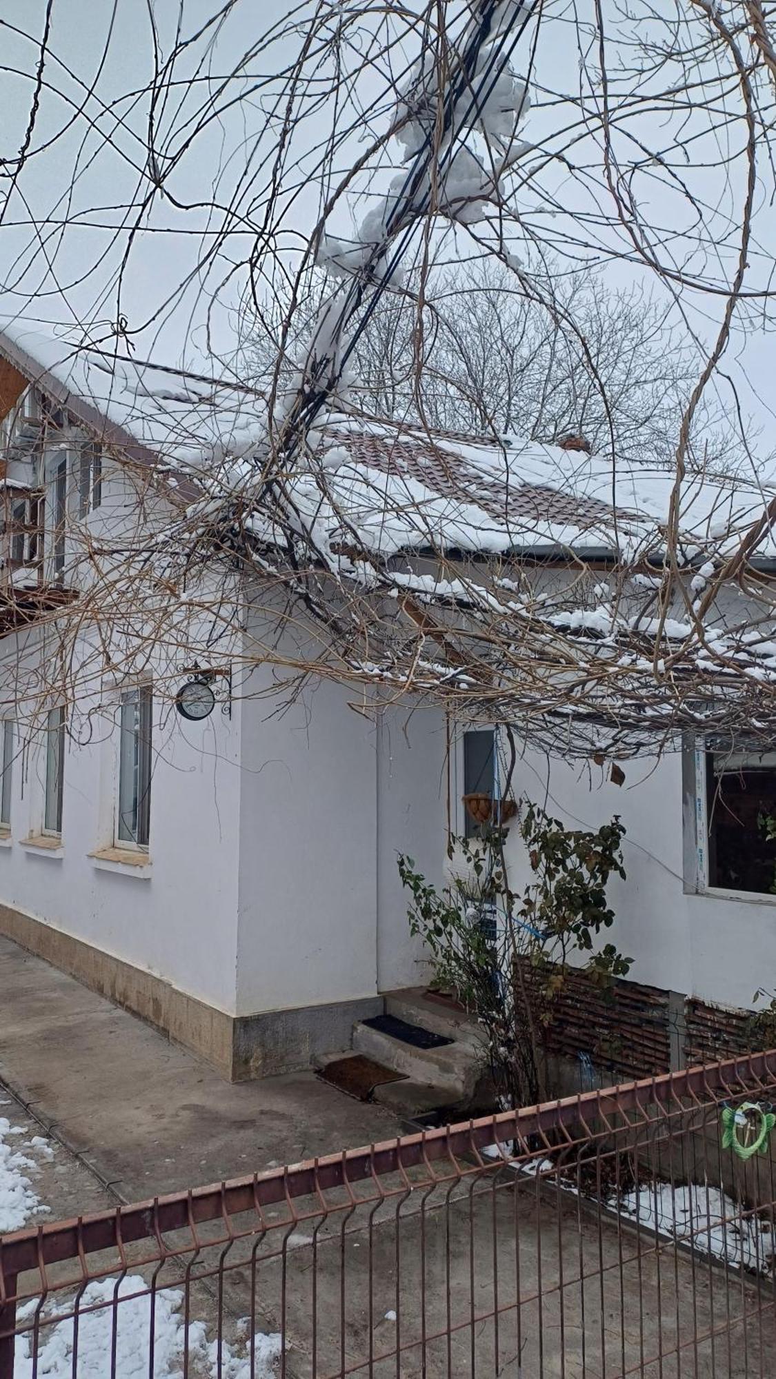 Casa Mocanu Giurgiu Exterior foto
