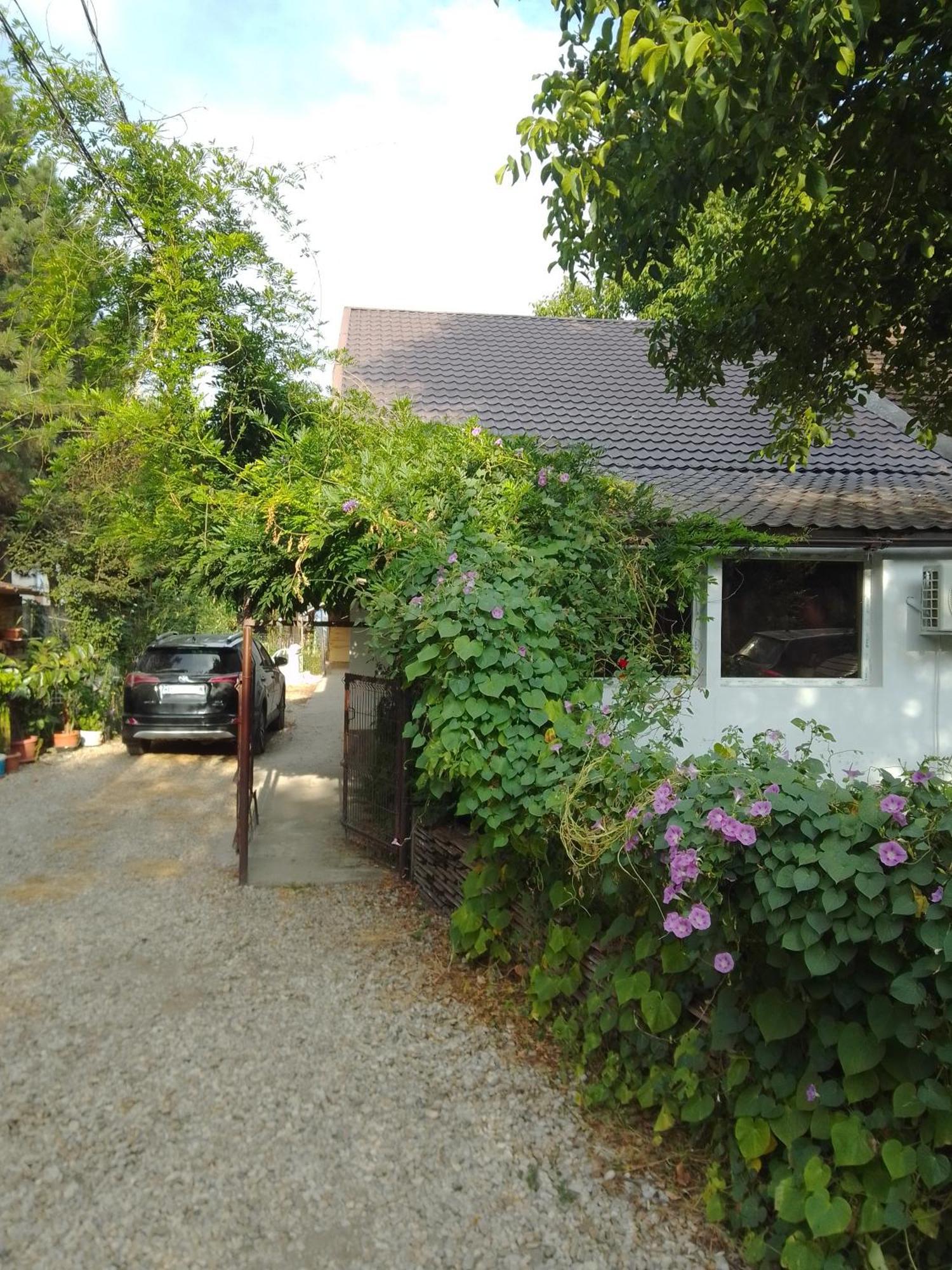 Casa Mocanu Giurgiu Exterior foto