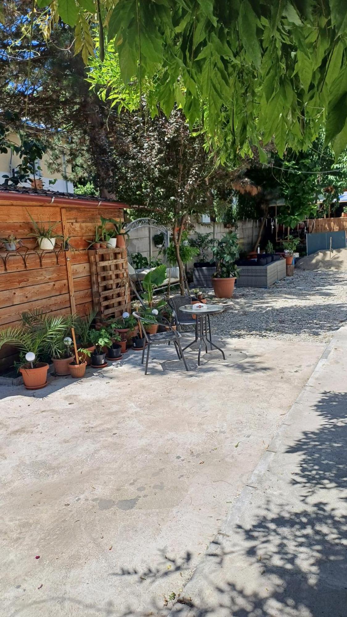 Casa Mocanu Giurgiu Exterior foto